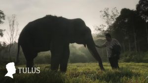 Gajah - Tulus - Lagu Terbaik Indonesia Enak Didengar